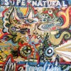 01.15.09.dog.supernaturalmaterialism